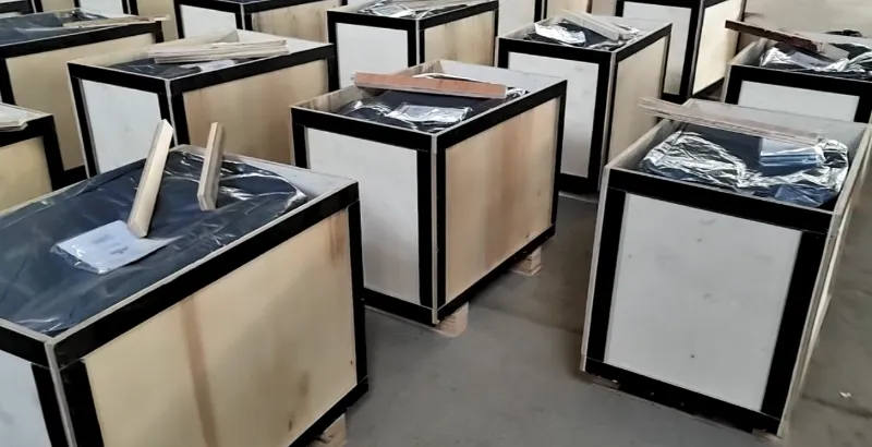 Toimitus! Shunhang Machine toimittaa yli 100 bensiinilevypuristinta Janpaniin